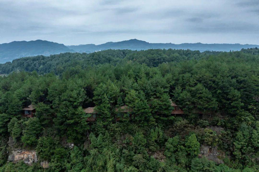 綦江避暑房"北纬29度康旅小镇"高庙坝坐拥广阔的森脉林谷被自然包裹着