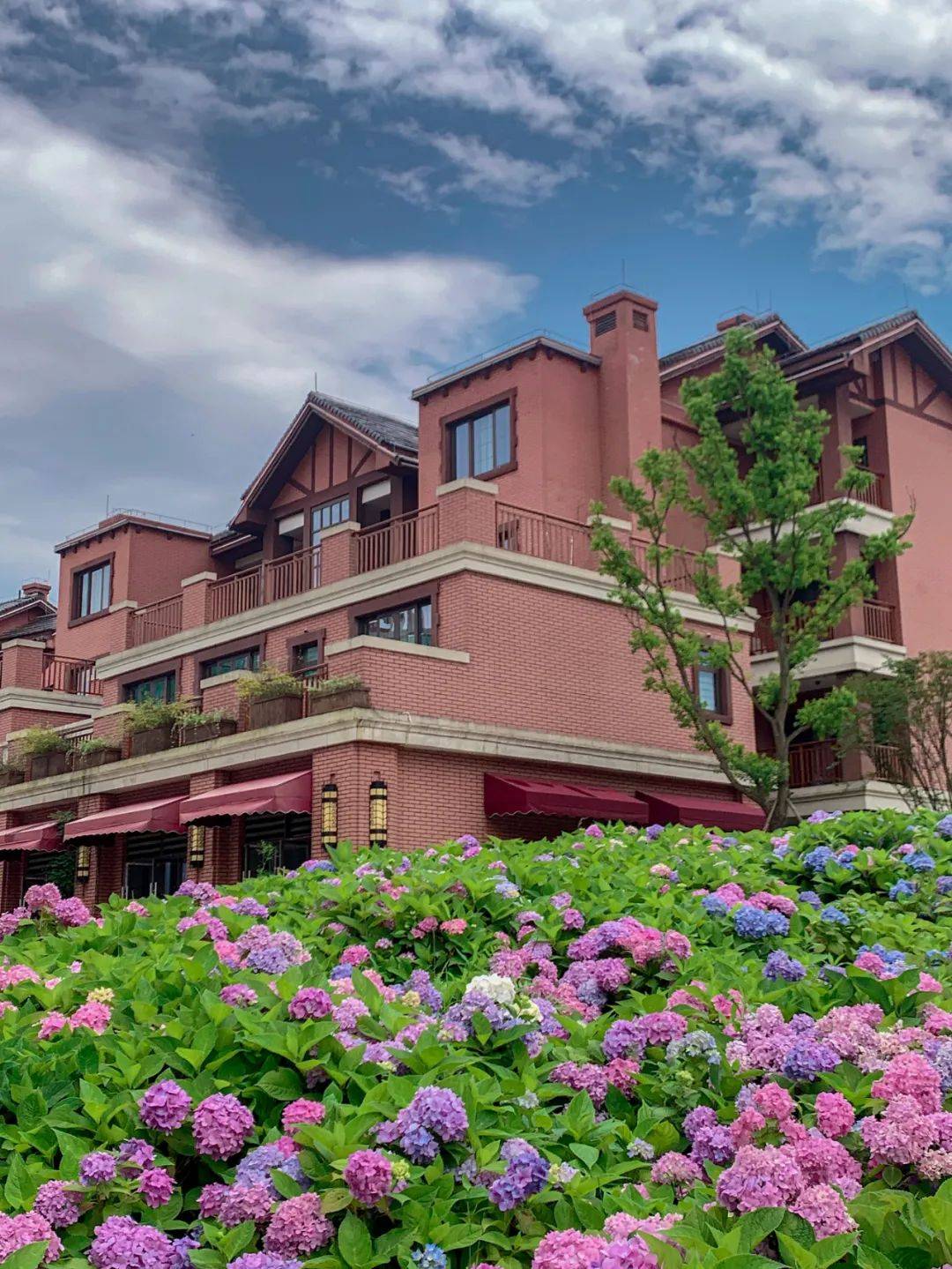 綦江避暑房"北纬29度康旅小镇"高庙坝坐拥广阔的森脉林谷被自然包裹着