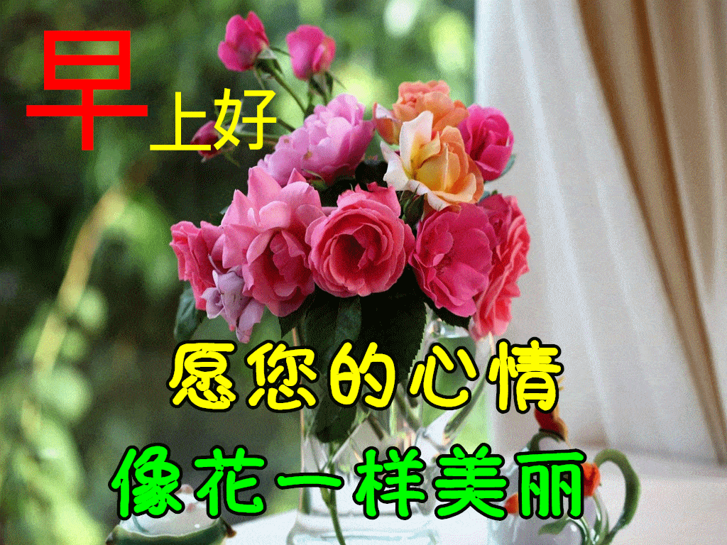 2月16日早上好祝福语图片大全，问候动态表情图片大全！
