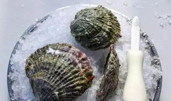 熊本生蚝、西雅图奶油生蚝……美国**生蚝大赏！(图20)