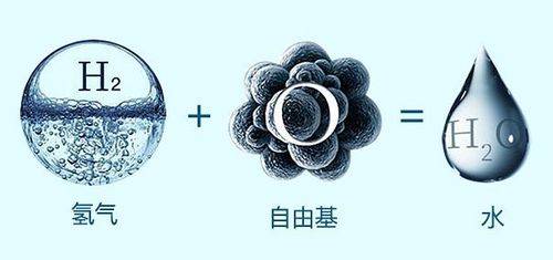 氢分子可清除人体自由基_生命_氢气_细胞