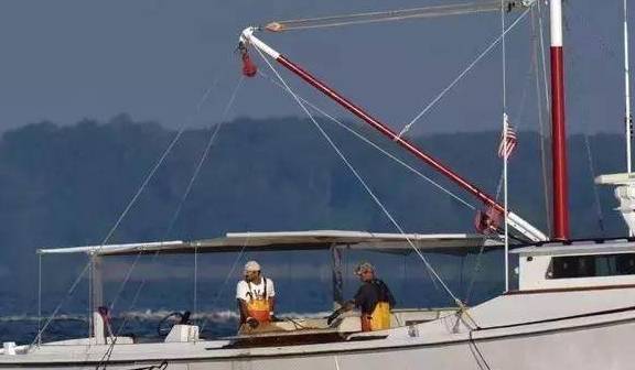 熊本生蚝、西雅图奶油生蚝……美国**生蚝大赏！(图16)
