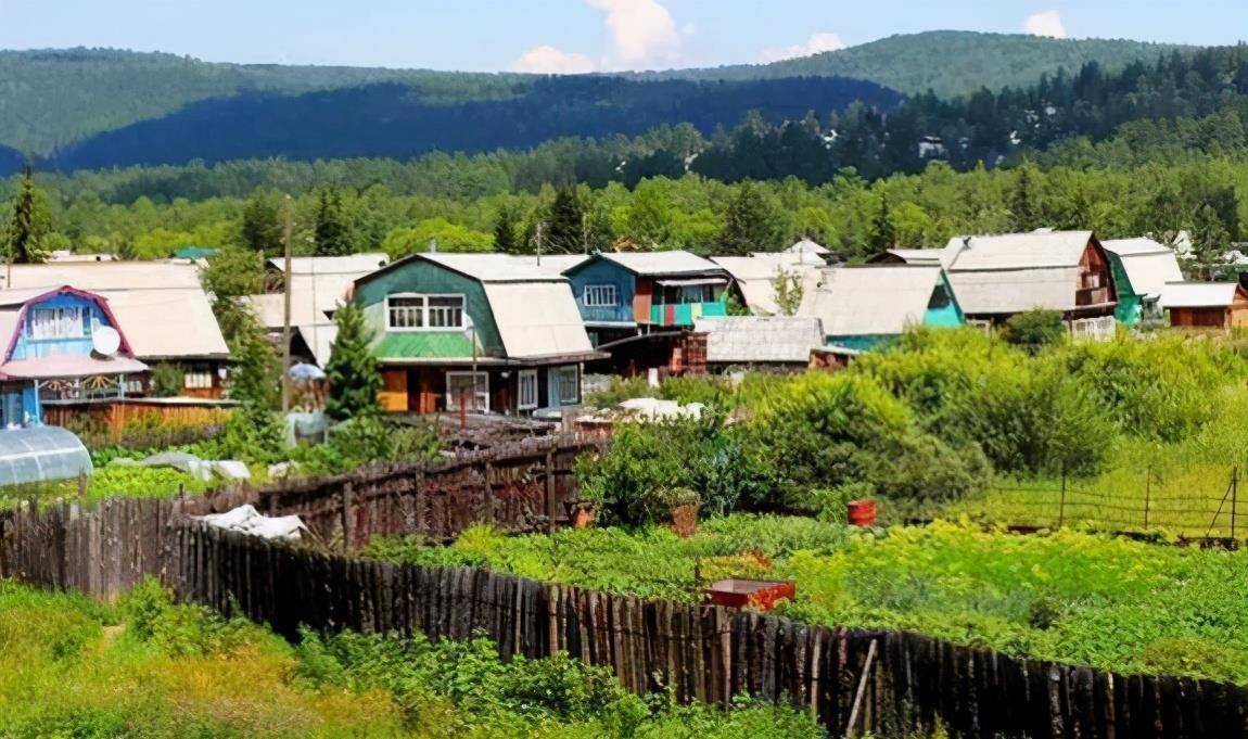 俄国_改革_贵族