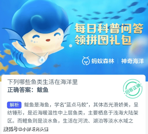 哪些鱼类生活在海洋里？蚂蚁丛林奇异海洋