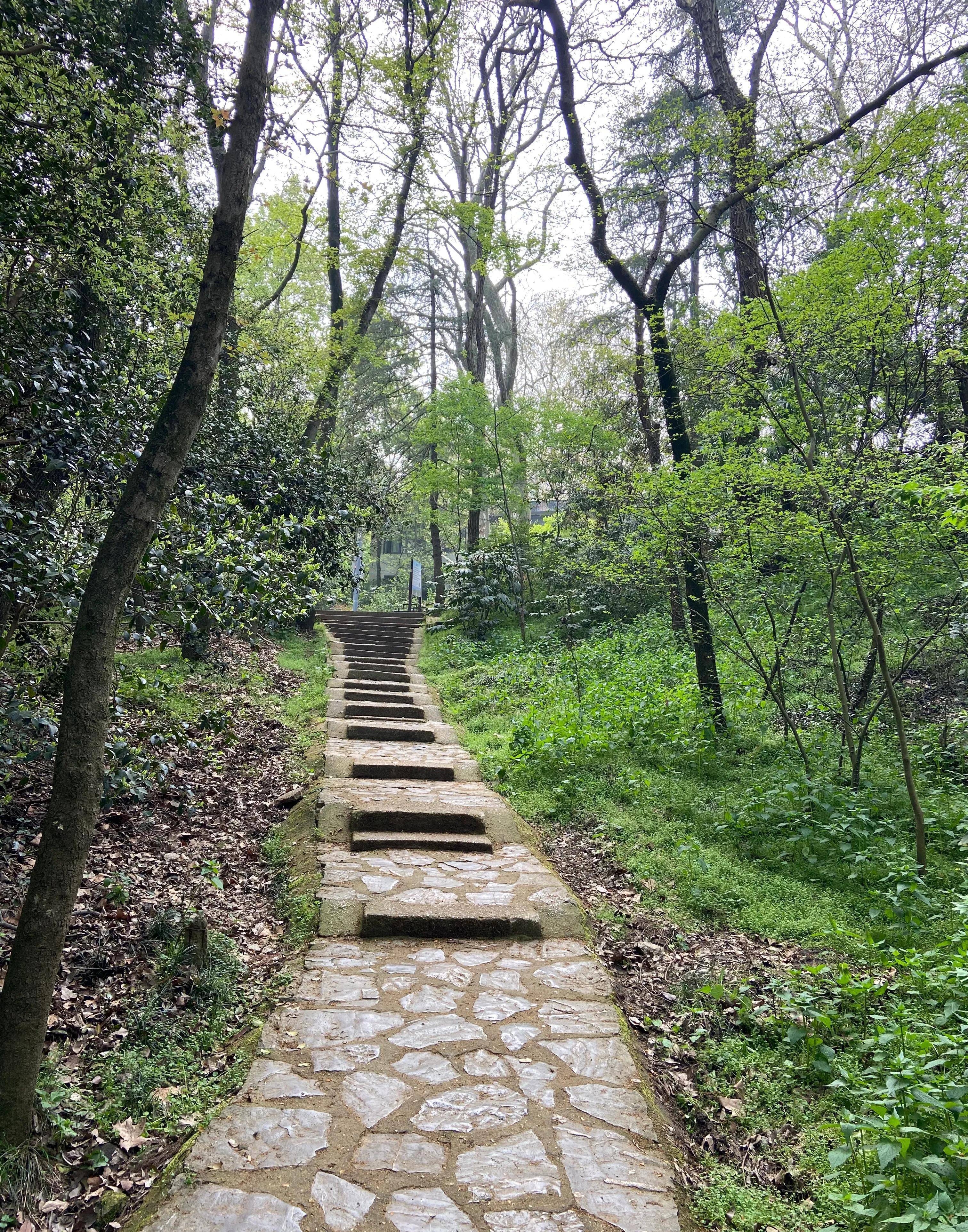 南京紫金山登山图片