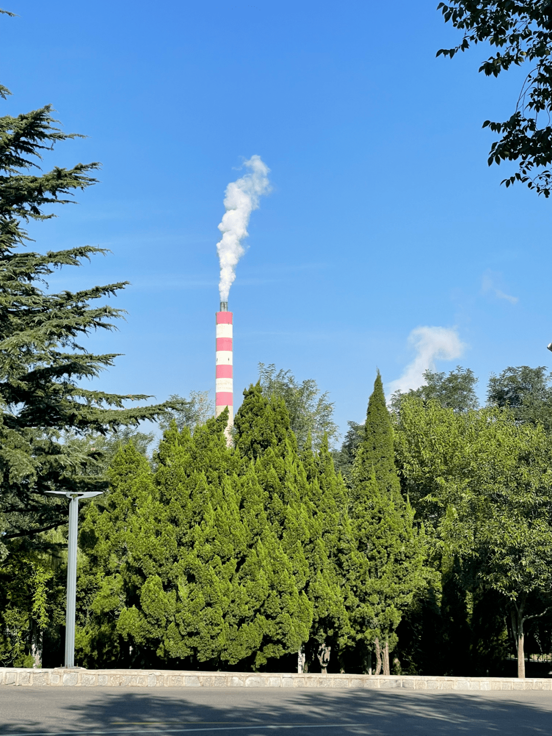 环山东骑行日记:烟台龙口市_黄县_蛋糕_汽车站