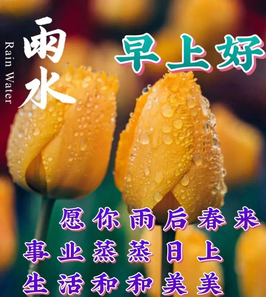 深度揭秘（暖心祝福语）暖心祝福语图片 第2张