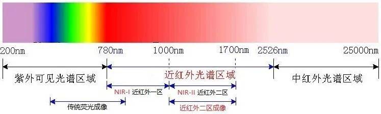 可见光区 近红外一区 近红外二区传统荧光成像技术存在一个显著的缺点