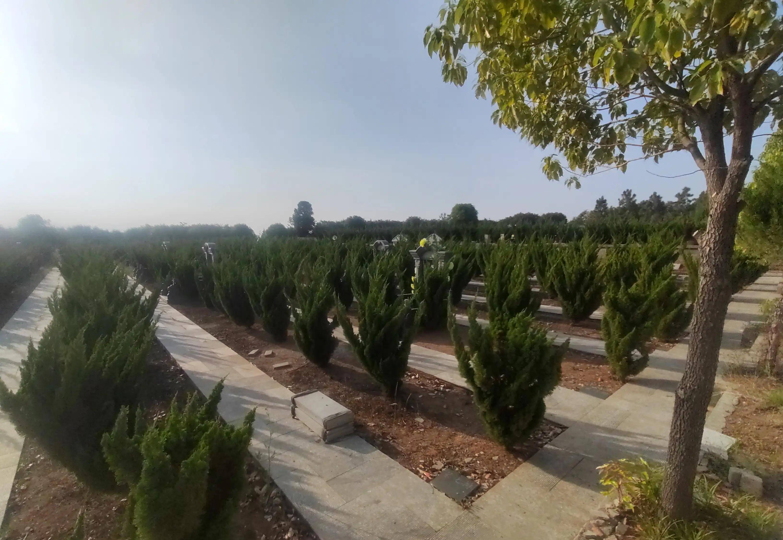 一条祭祀之路,彰显南阳山水的文化魅力_紫山_田营_公墓