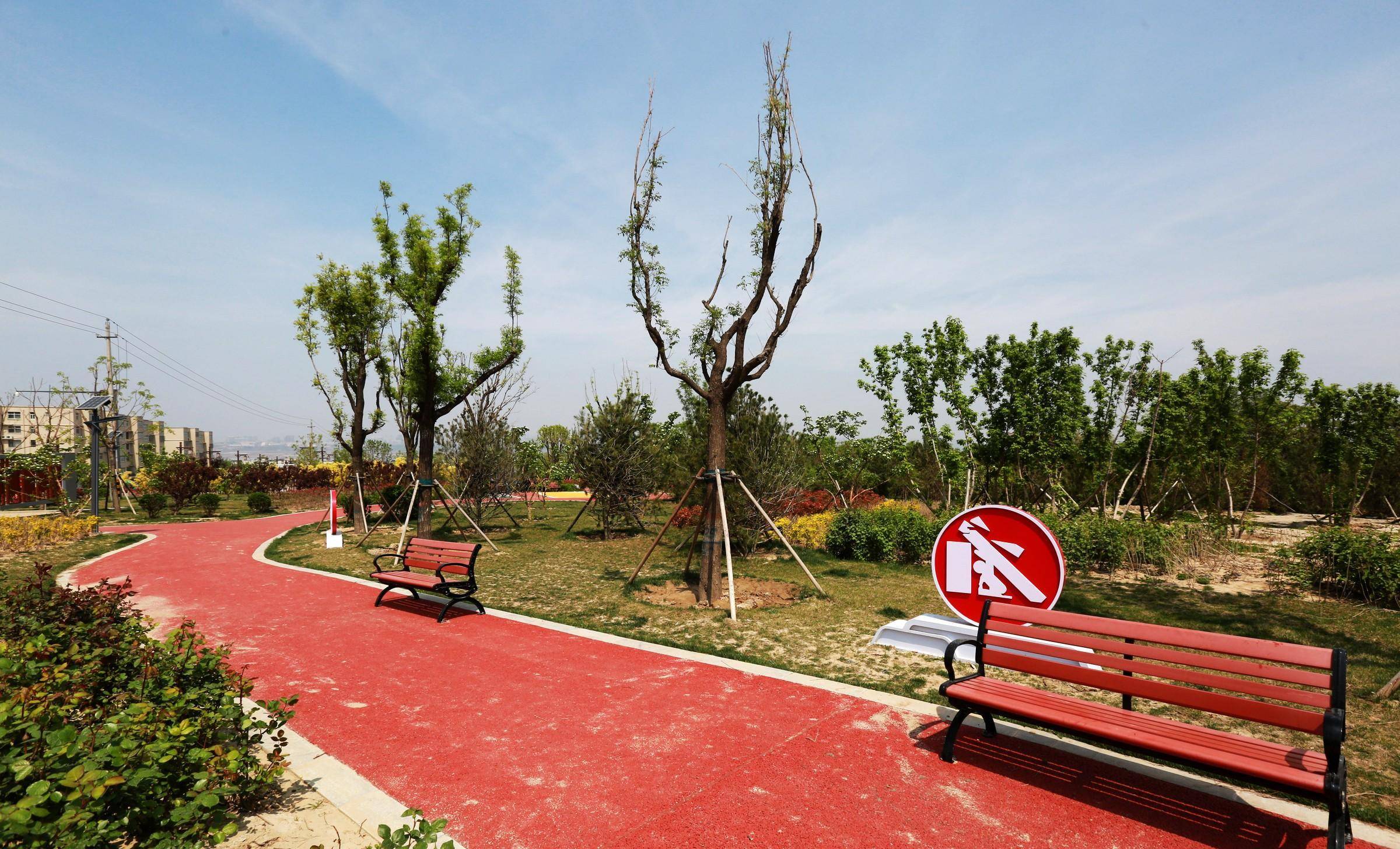 运城南山脚下的这处绿化景观,踏青游玩好去处_游园_市民_城市