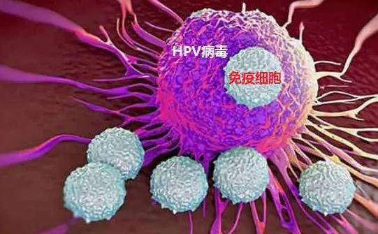 九价HPV太原到阳泉北接种实的太便利了，超龄石家庄市区接种