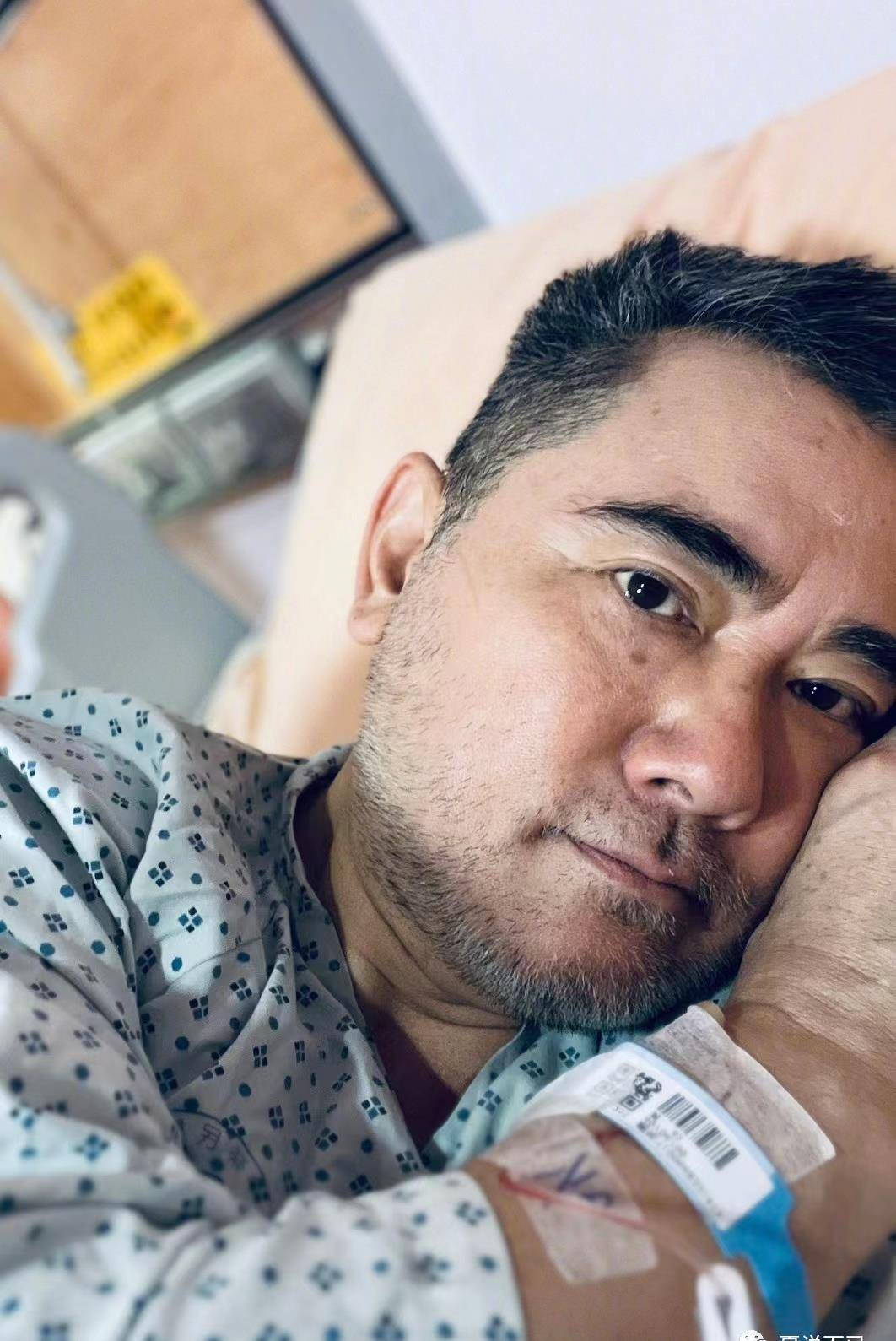 63岁芈月爸爸赵文瑄,不结婚不养孩子,买近千平方庄园养猫养狗