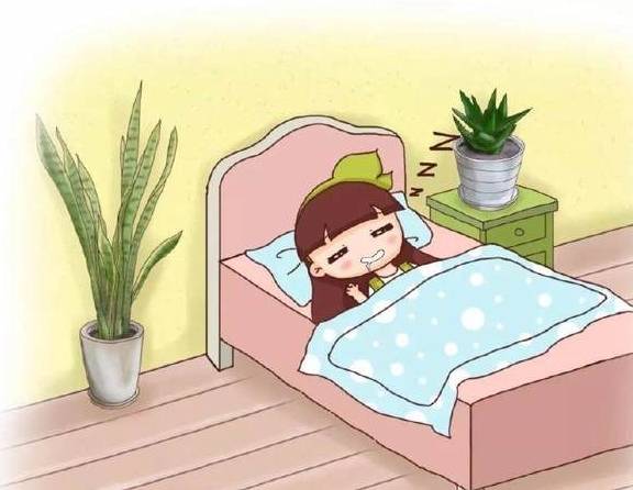 1间房2盆花,吸甲醛没异味,让你夜夜睡的香!_空气_叶片_花花