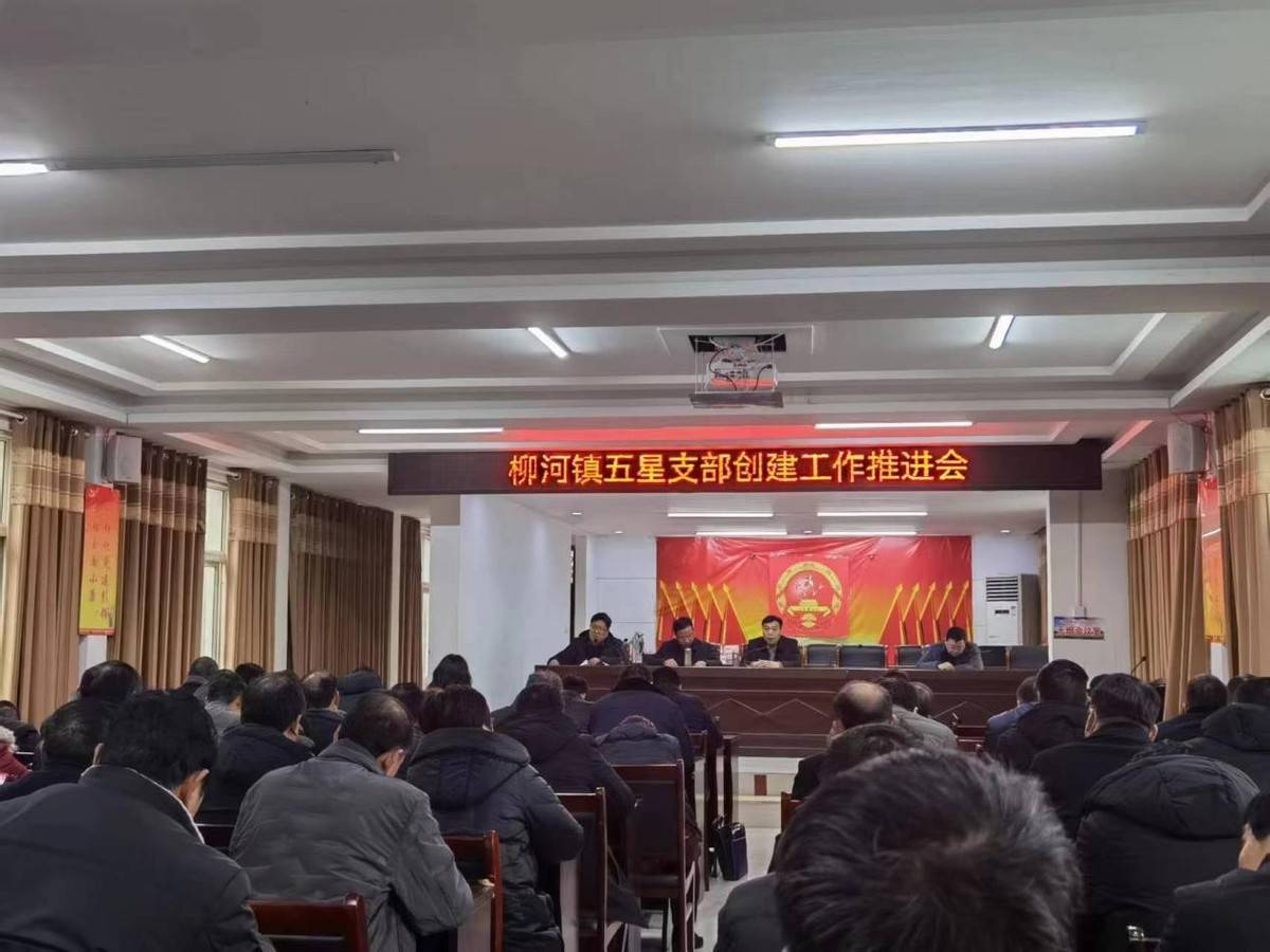 方城县柳河镇:比学赶超创五星 为乡村振兴添砖加瓦_方法_问题_责任