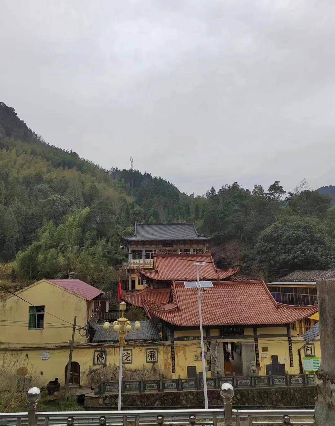 文成这个乡镇,既是享誉盛名的酒乡,也是禅意悠远的"佛国"_酿酒_平阳