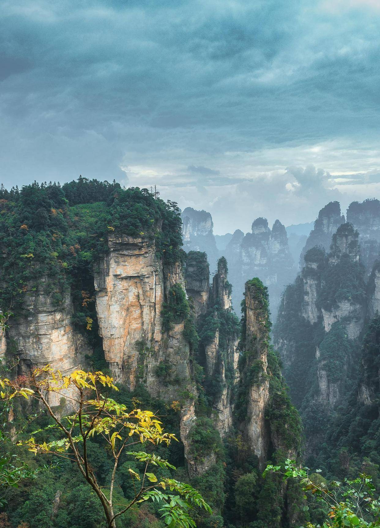 三月份旅游最佳地方,10个值得去的景点_黄山风景区_桃花_九寨沟