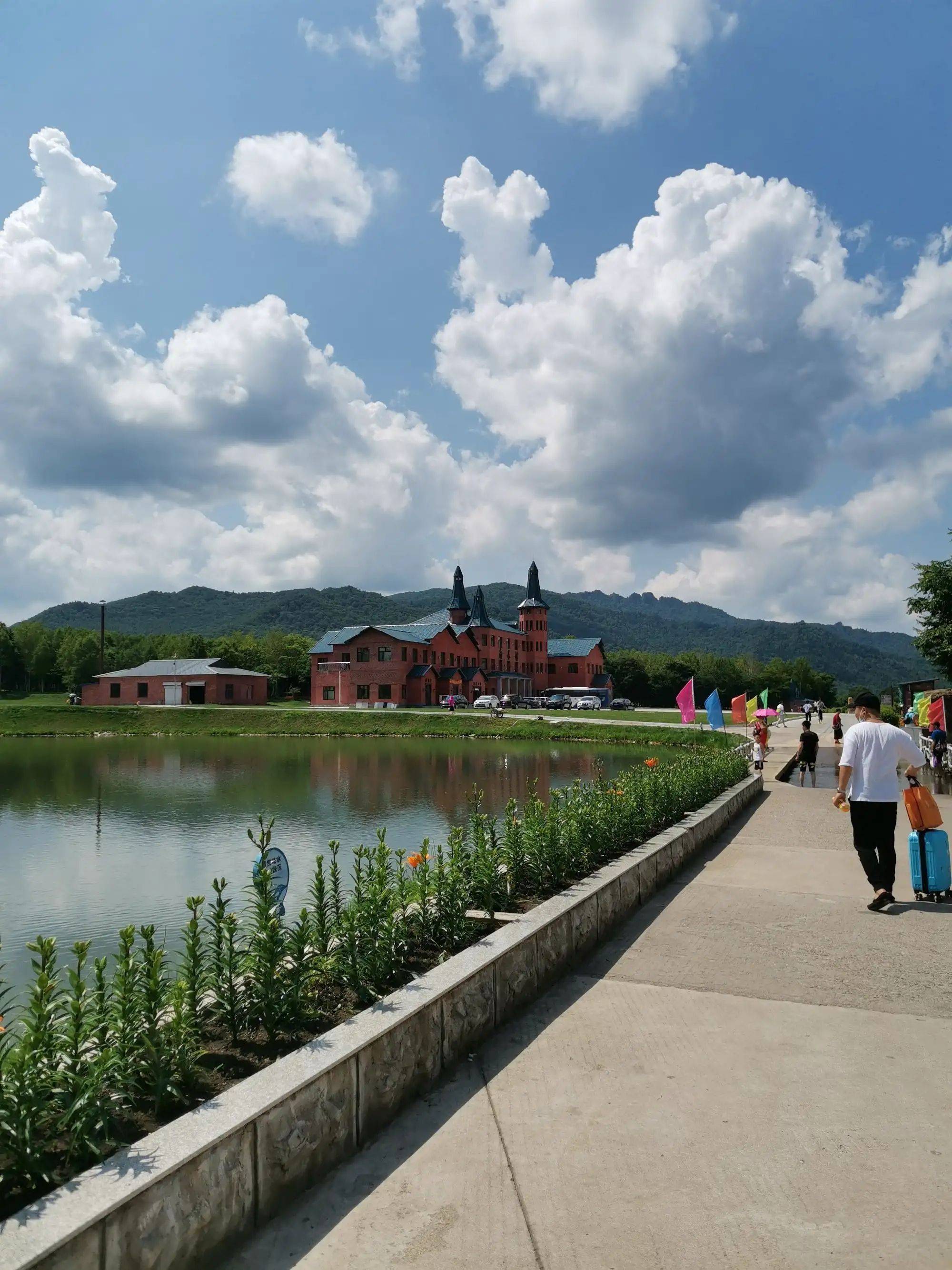 伊春市金林区金林幼儿园事业单位公开招聘公告_人员_证书_考试