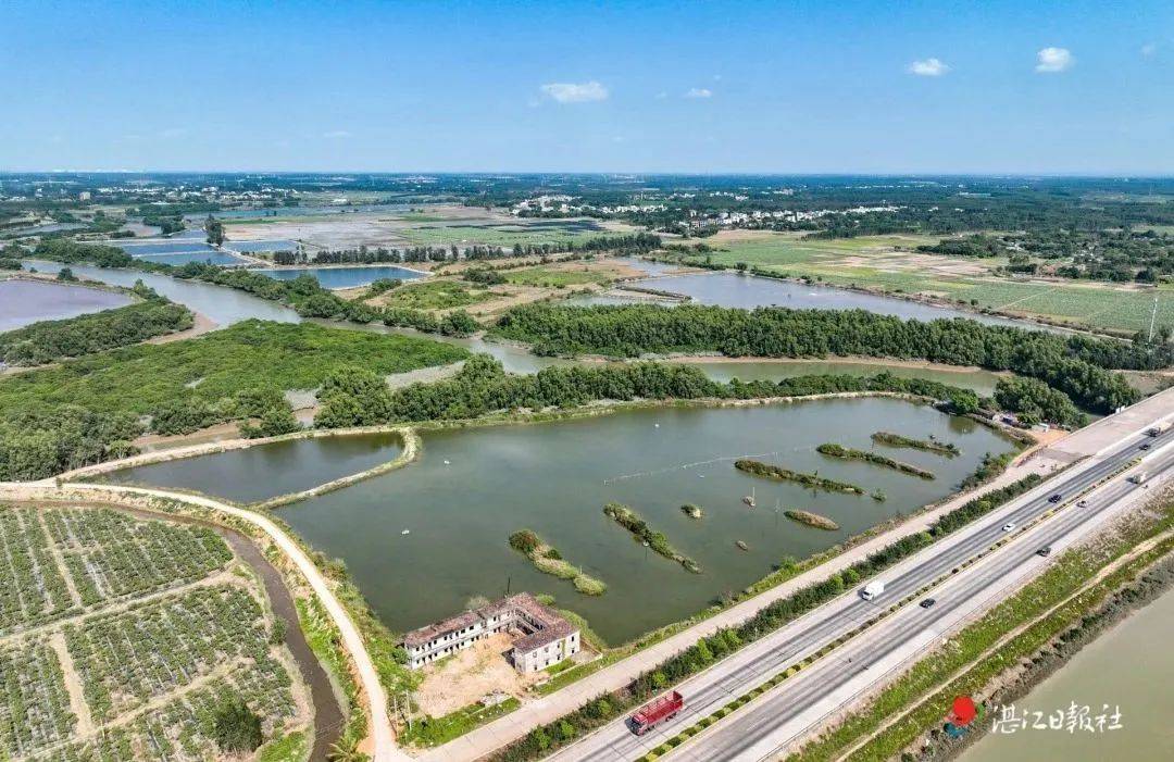 总投资2000万元,茂德公又一文旅项目落地雷州沈塘镇茂莲村_发展_文化