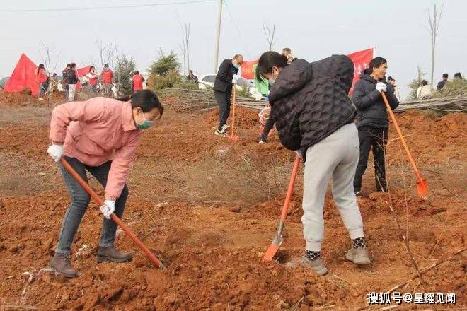 义马市工业信息化和科技局：义务植树用心用情鞭策绿色开展