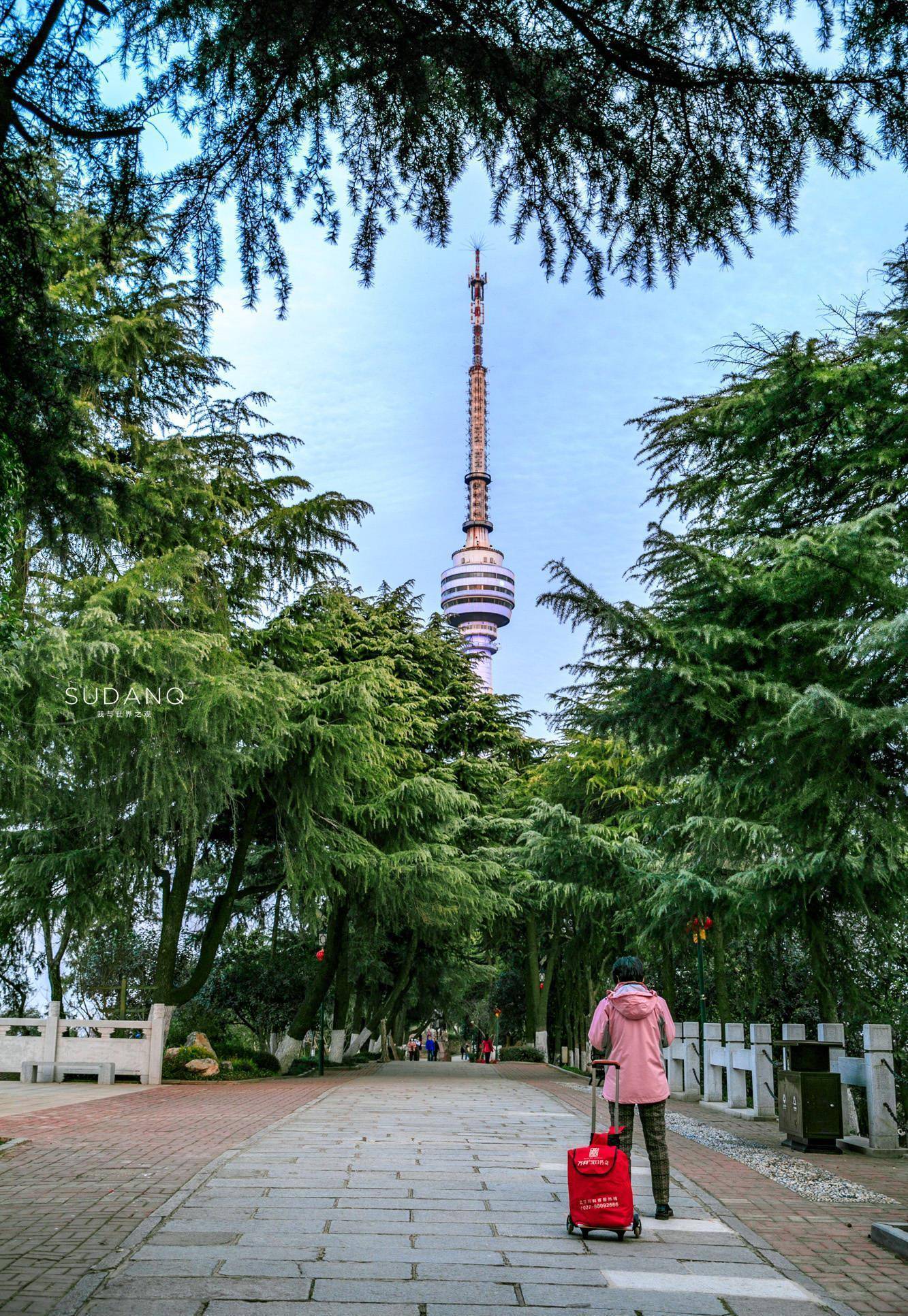 武汉龟山风景区图片图片