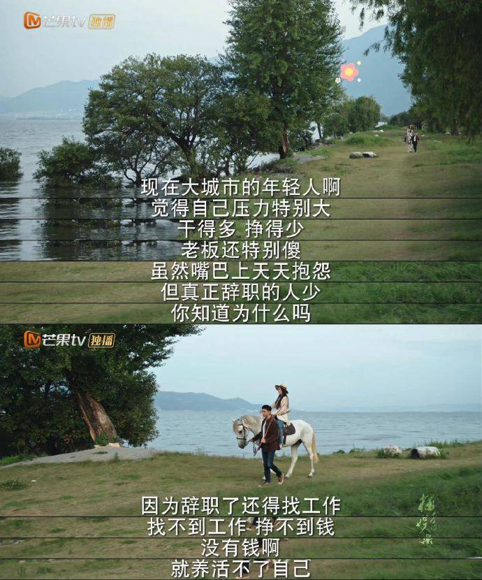 去有风的地方，在有风的地方被治愈(在有风的地方做暖阳是啥歌)