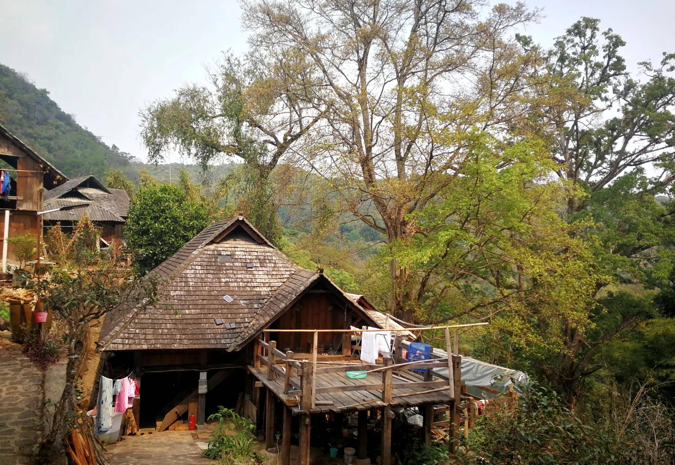 云南边境自驾景迈山(翁基古寨,糯干古寨,老达保村)环线景点_村寨_寨子
