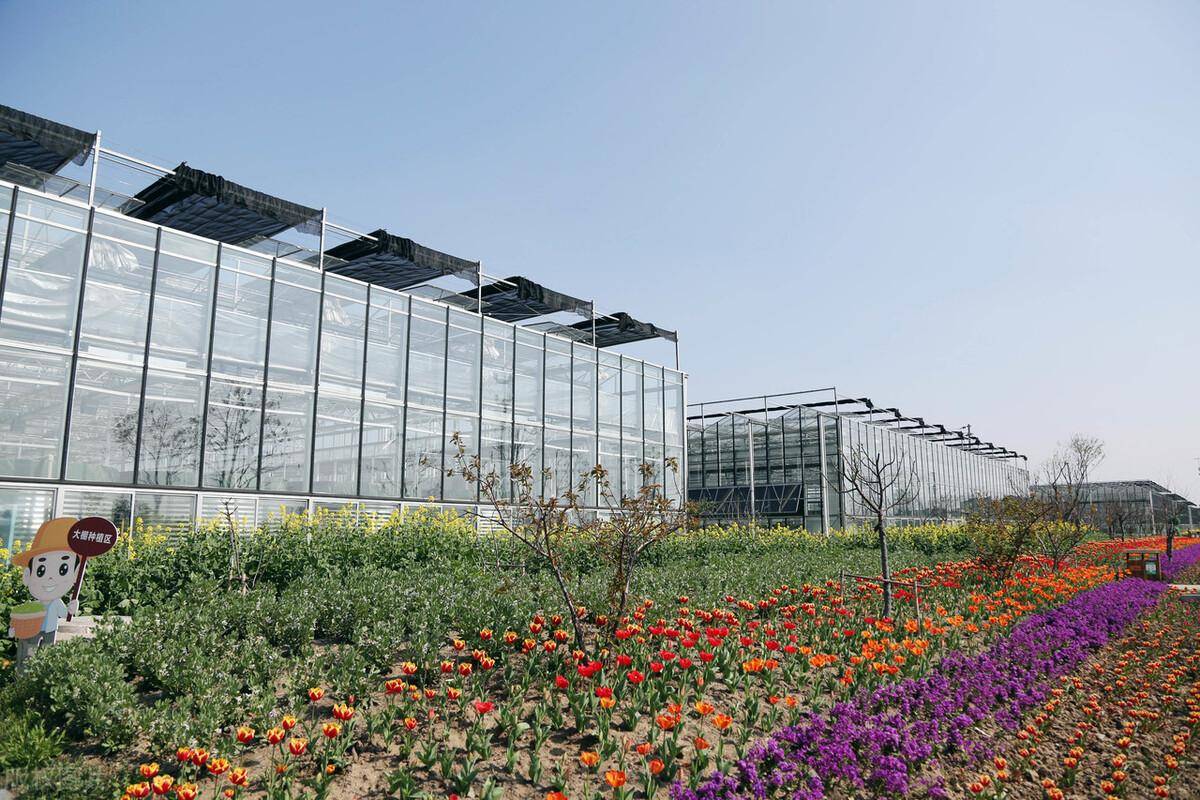 现代化智能玻璃温室如何运用在农业方面?_系统控制_条件_环境