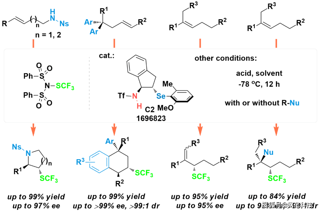 中山赵晓丹团队:手性lewis碱性芳基硫属化合物催化剂