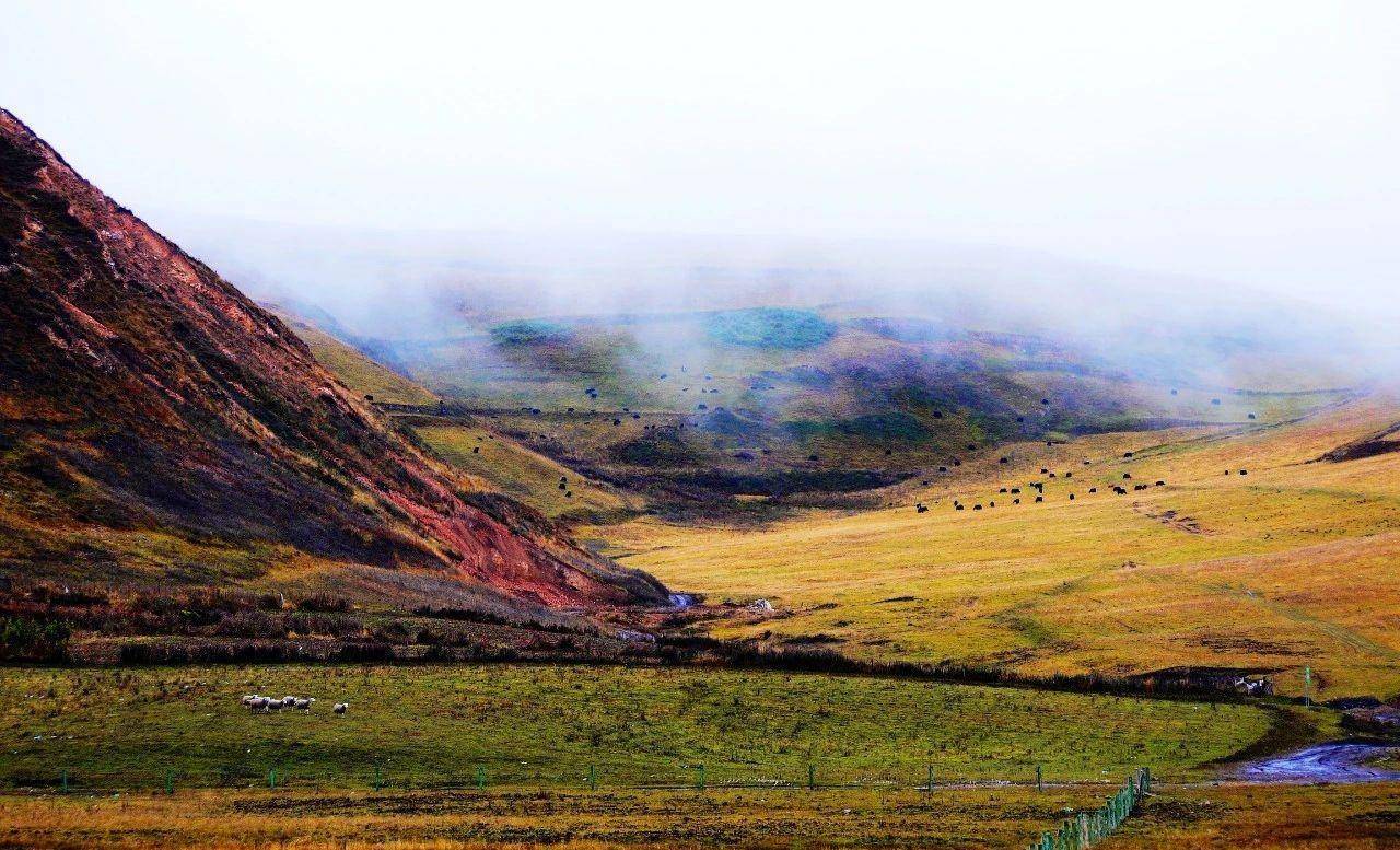 畅游甘肃-定西狼渡湿地草原_岷县_休闲_避暑