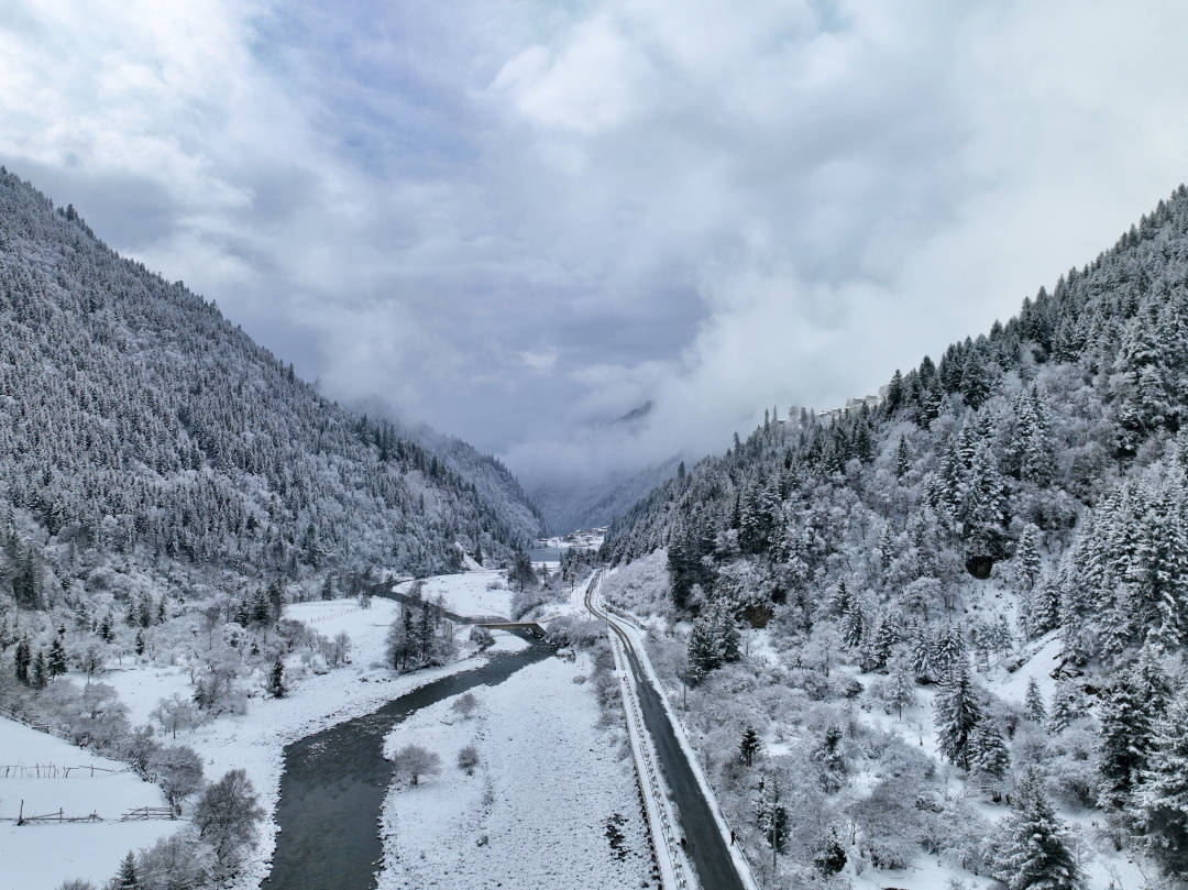 睹为快↓↓↓一大波雪景图来袭今天的达古冰川也是下雪的一天故穿庭树