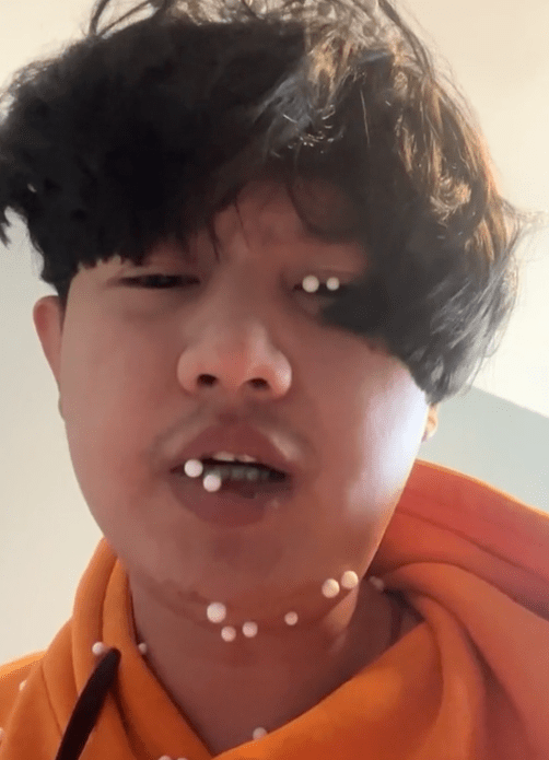 (截图来自dy@郭果果)铲屎官:奉劝各位养狗家庭千万不要买懒人沙发