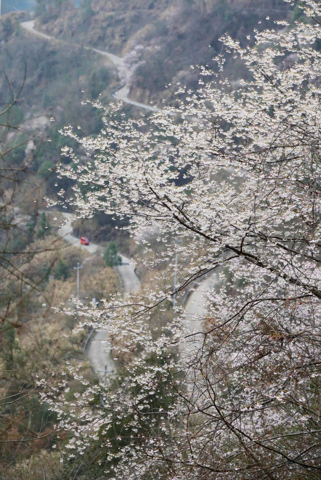 建德三都非遗（建德市三都镇三都村） 第6张