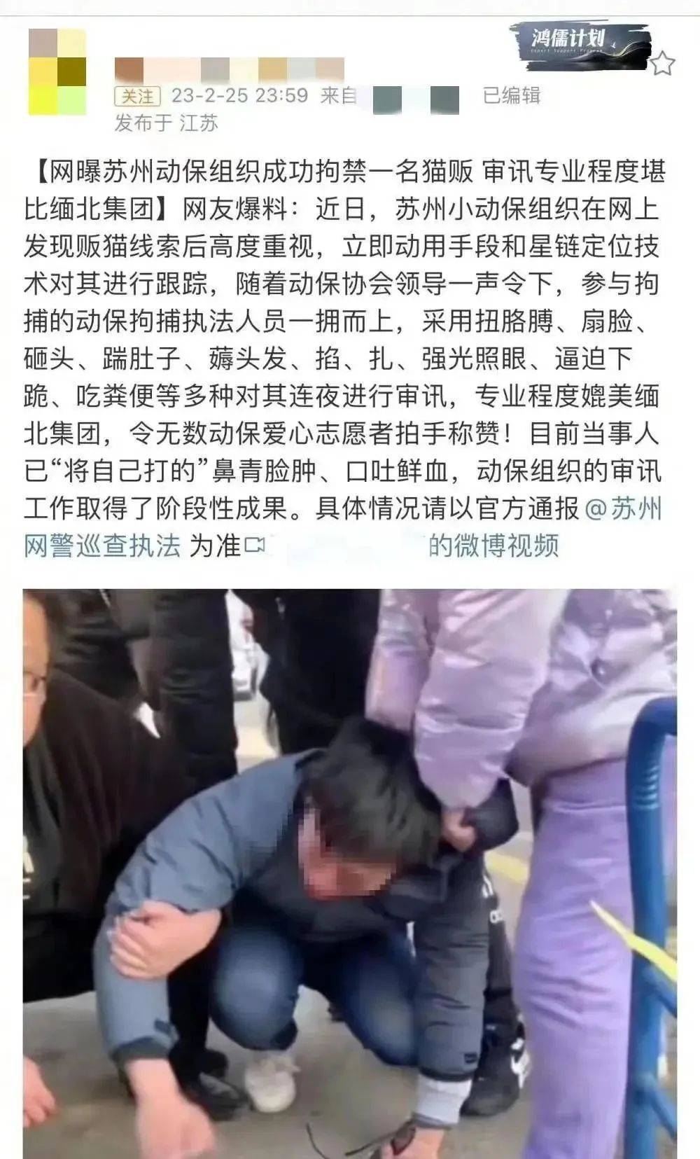 沈阳猫贩子图片