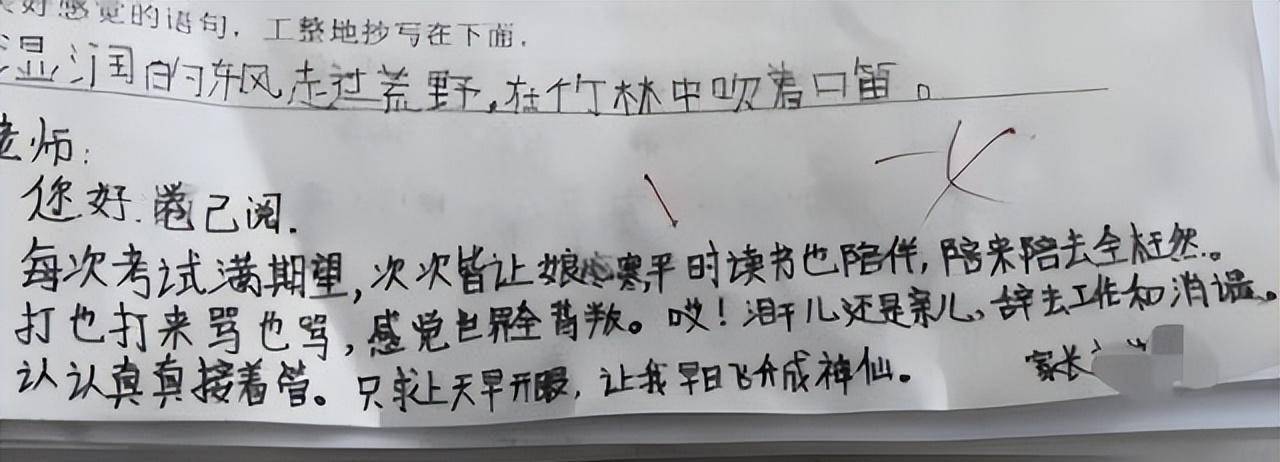 老師卻收到大段評語,這屆家長