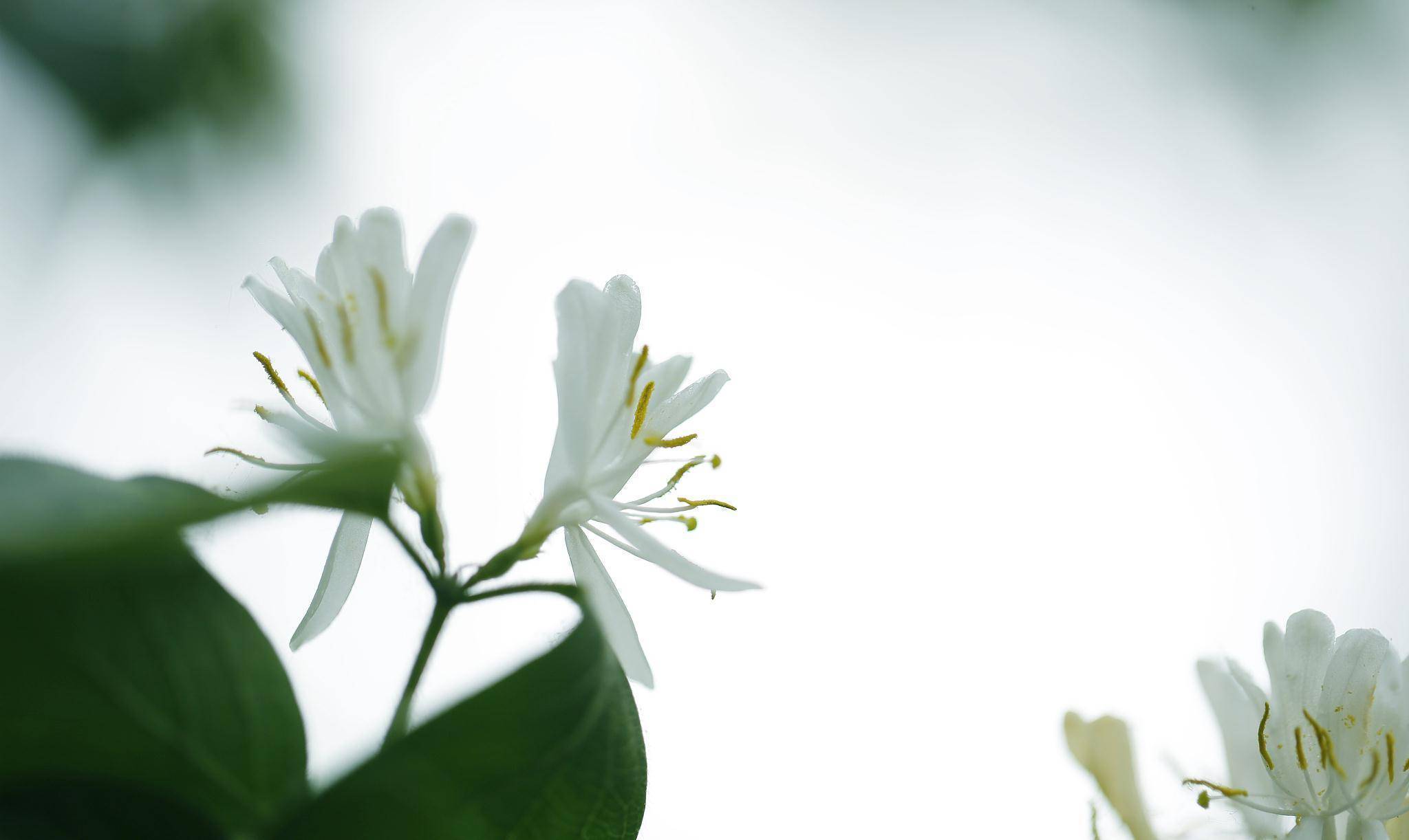 人呀,想要取得成功,须得摈弃杂念,专心致志_目标_人生_事情