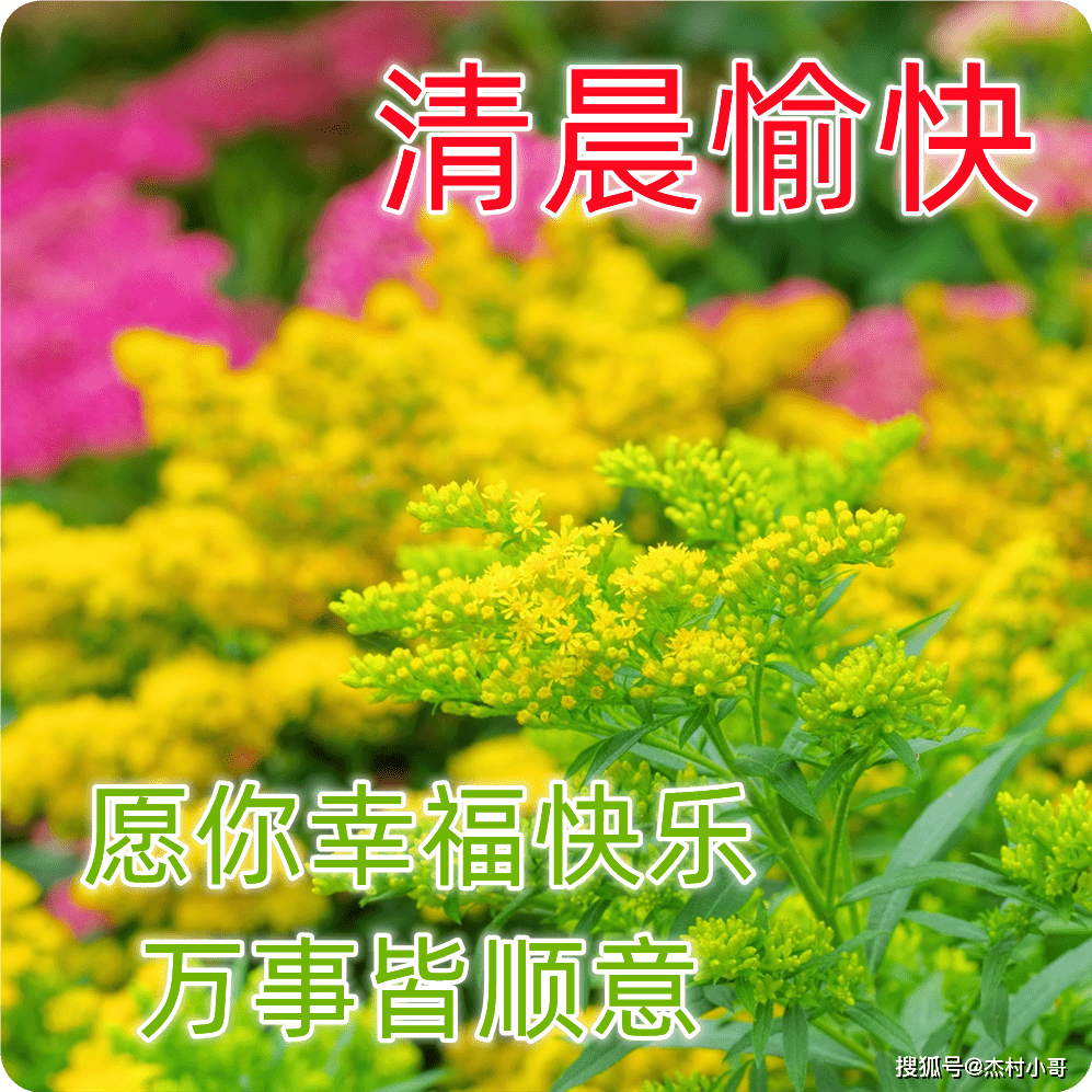 超温馨新的一天早上好漂亮图片带字 2023年清晨暖心问候语图片_朋友