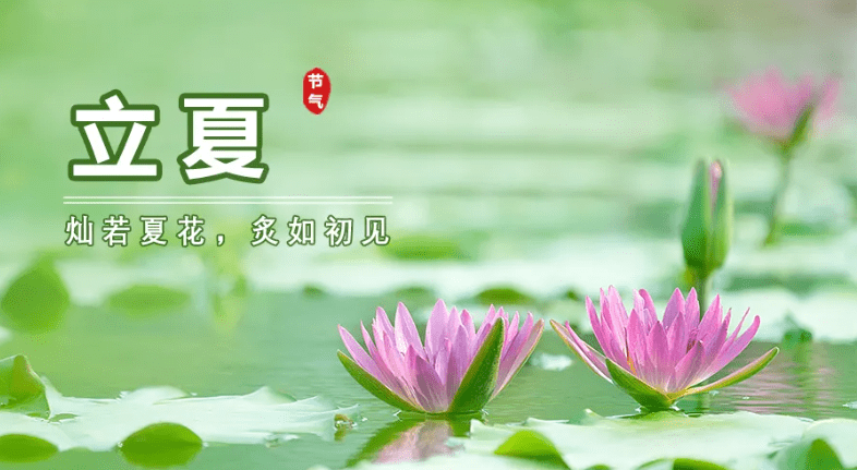 光华医院专家:已立夏,养心先养阳_长宁_孙秀_疾病