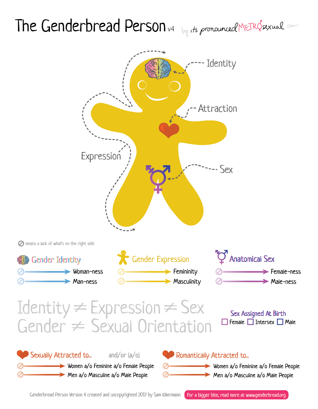 xex的图像怎么画图片