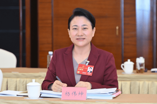 全国人大代表杨伟坤建议:将中国式摔跤恢复为全运会竞