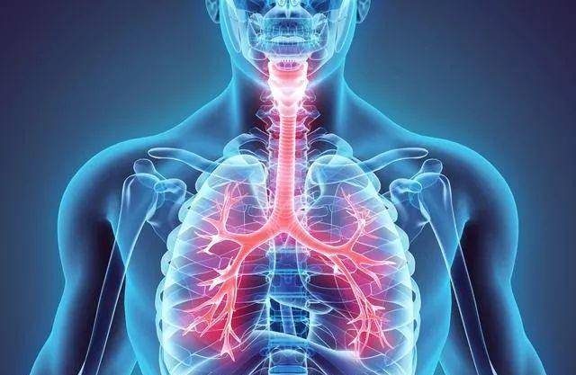 检测肺功能的小技巧，我们在日常生活中该如何养“肺”