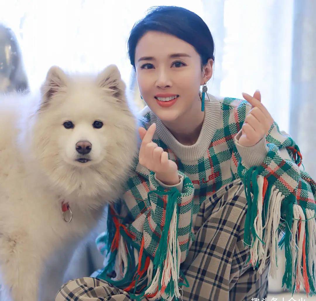 《宝莲灯》"嫦娥"穿礼服走秀,鼻头歪斜不自然,43岁至今未婚_颜丹晨