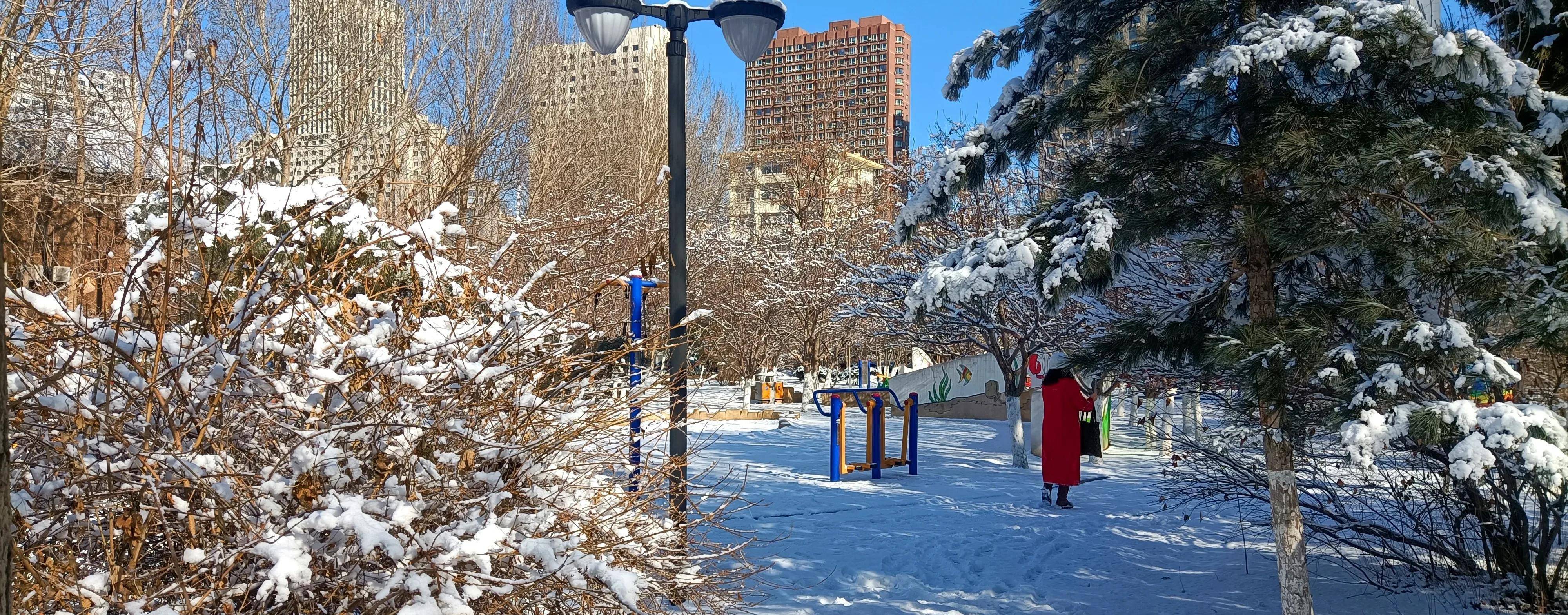 雪后的公园真美啊图片