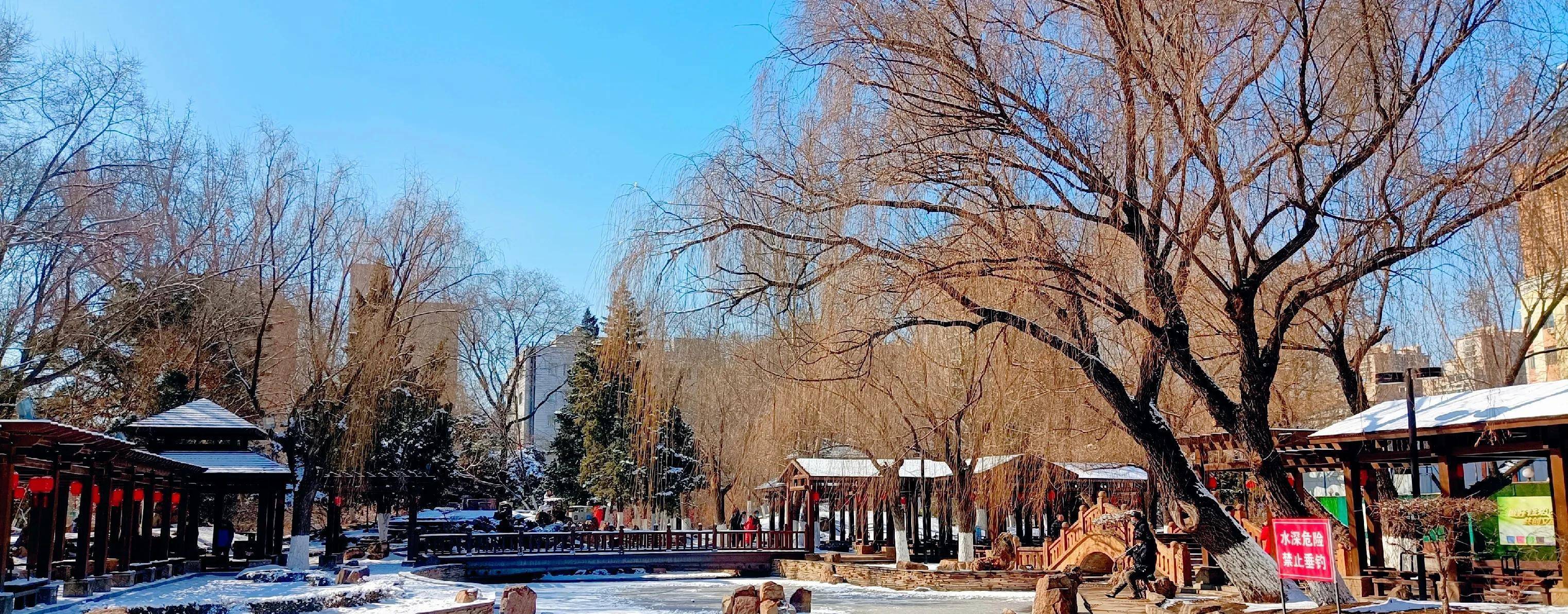 公园篇—雪后的沈阳中山公园,满满的北方特色_太阳_人们_健身