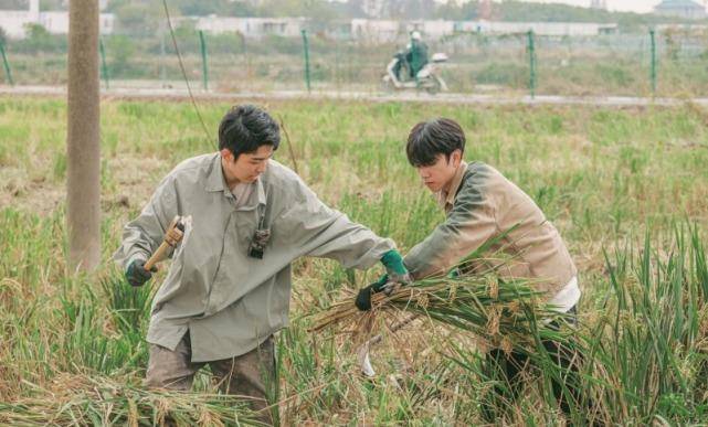 专访《种地吧》总导演杨长岭:像拍纪录片般拍综艺,让真人秀回归真实