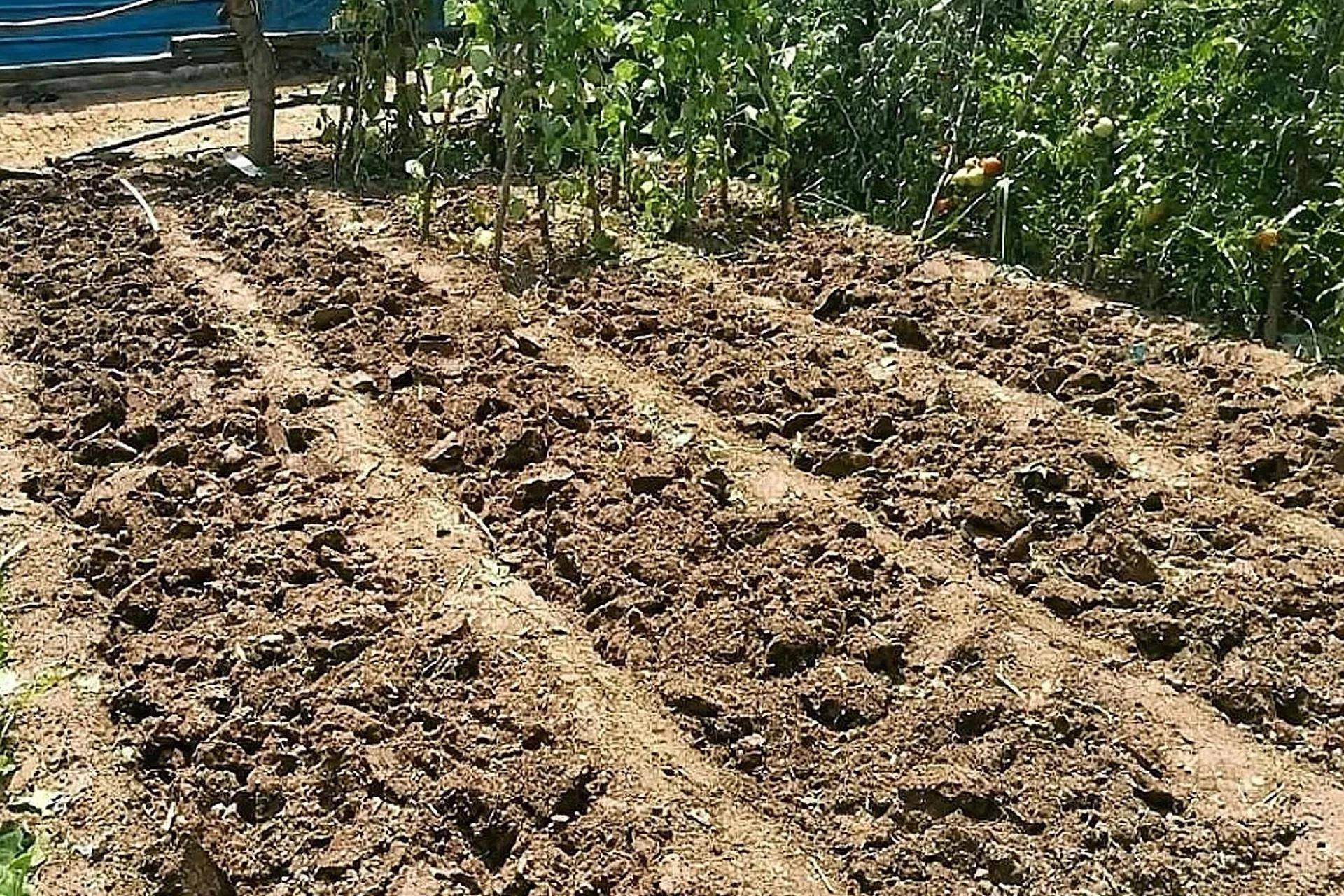 翻地是农村人的基本功,能做好的或许不多,这才是正确的翻地姿势_土壤