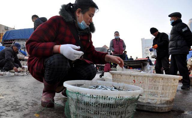 春來青島海鮮肥,街頭小巷擺滿街10多塊錢一斤,錯過只待來年啦_梭魚