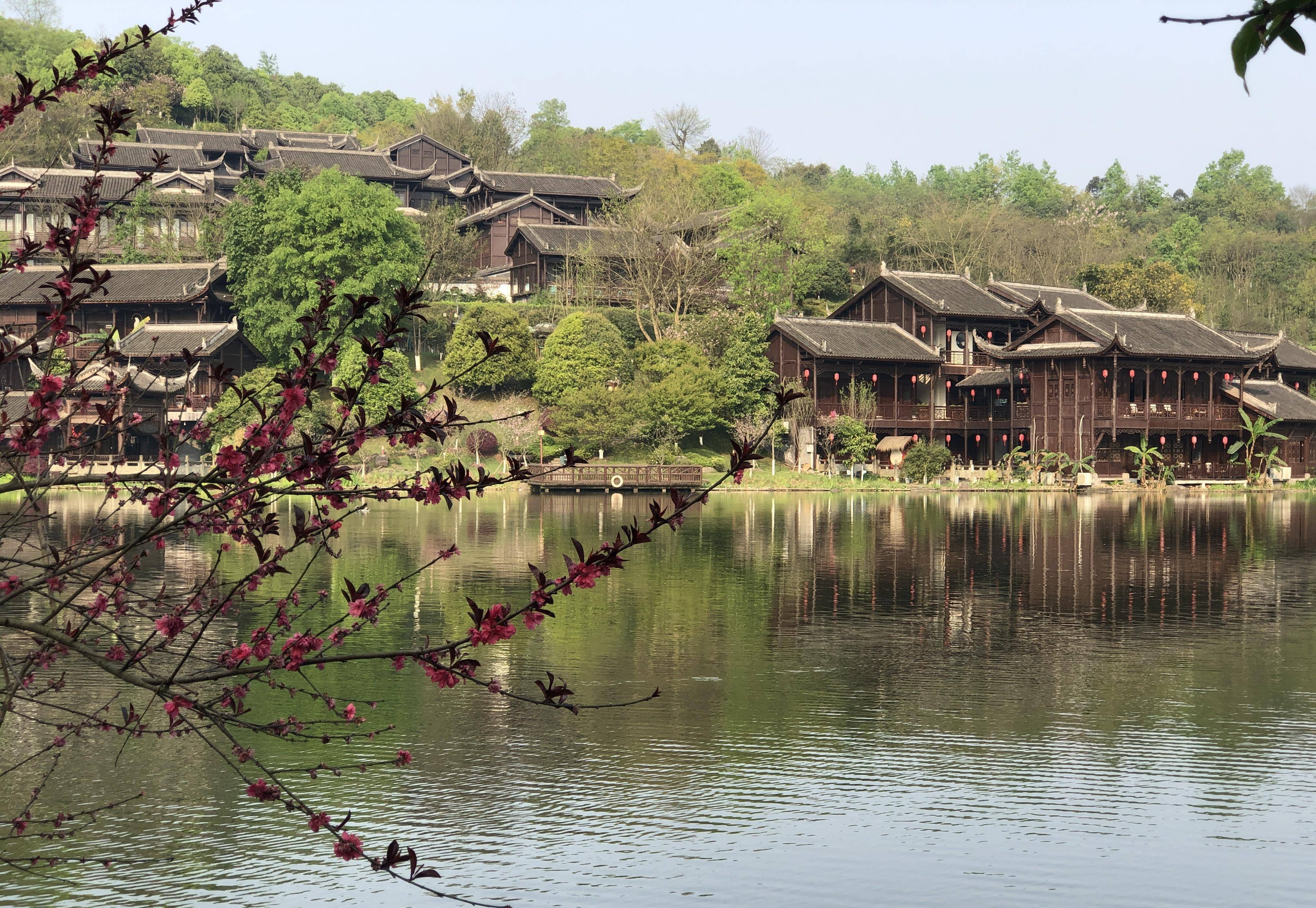 重庆主城赏花图片