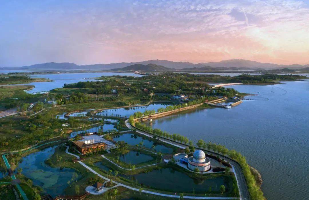 菜子湖在安徽安庆,桐城,枞阳之间,包括嬉子湖和白兔湖_嬉子湖镇_湖区_