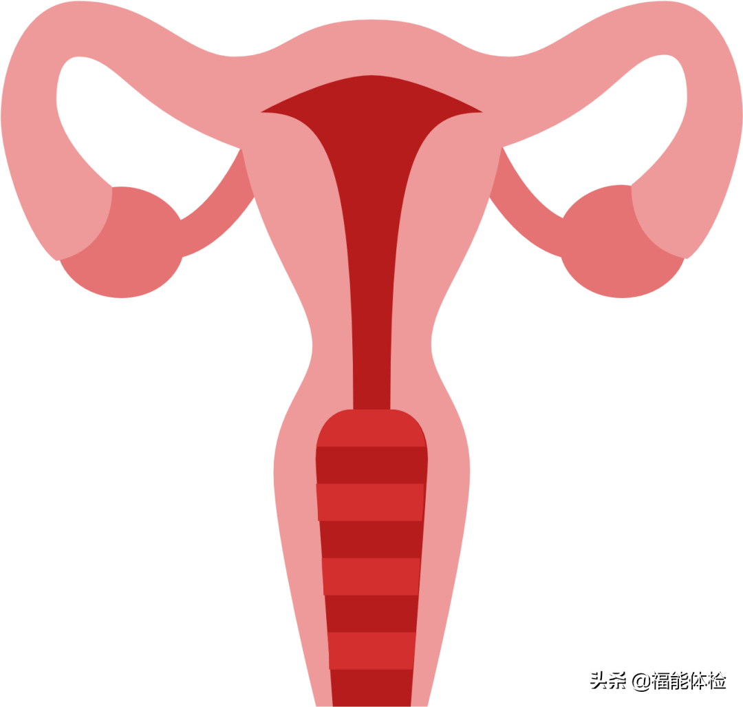 女性腫瘤標誌物怎麼選,這份攻略請收好_細胞_篩查_診斷