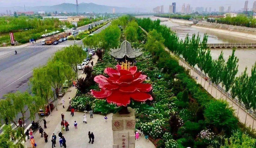 魅力花都的牡丹花儿61公园城市的嘉年华… 临夏市最美的季节